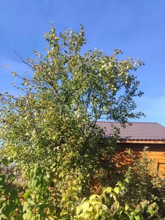 Участок в Челябинская область, Озерск № 4 Зеленая Горка СНТ,  (7.5 ... - Фото 1