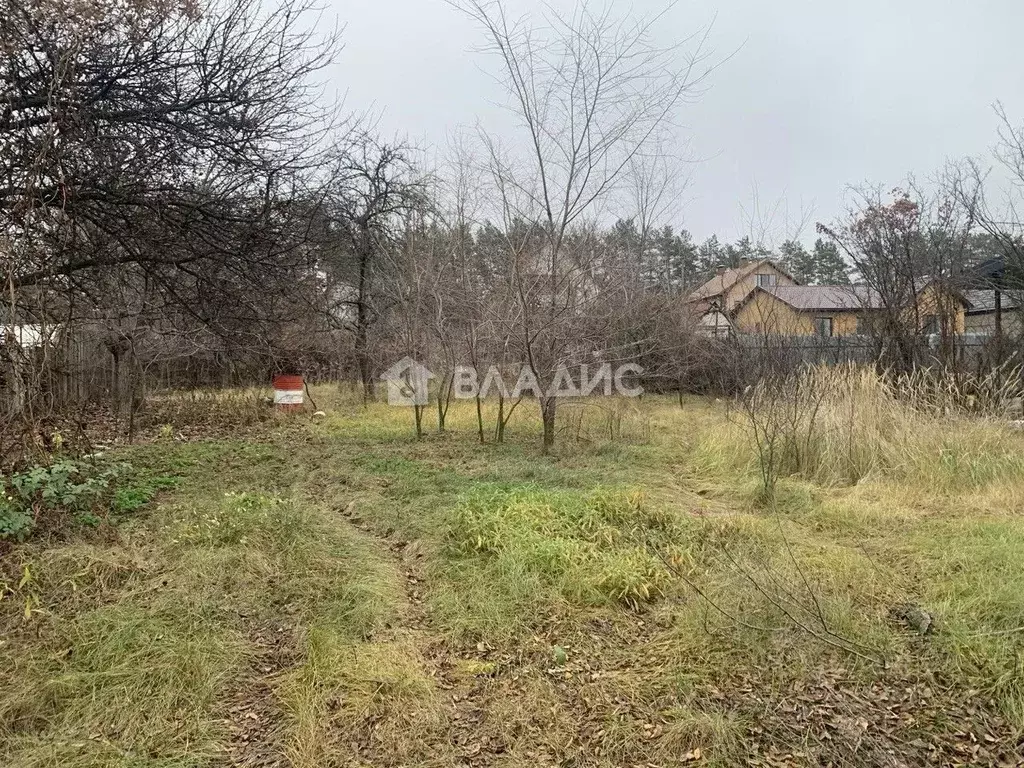 Дом в Воронежская область, Воронеж Шинник-1 СНТ, ул. 2-я, 81 (14 м) - Фото 1