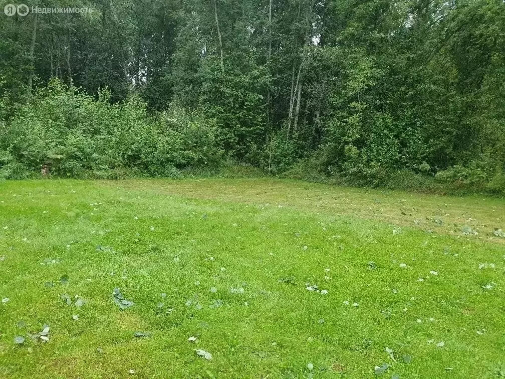 Участок в Красноозёрное сельское поселение, коттеджный посёлок Силино ... - Фото 1