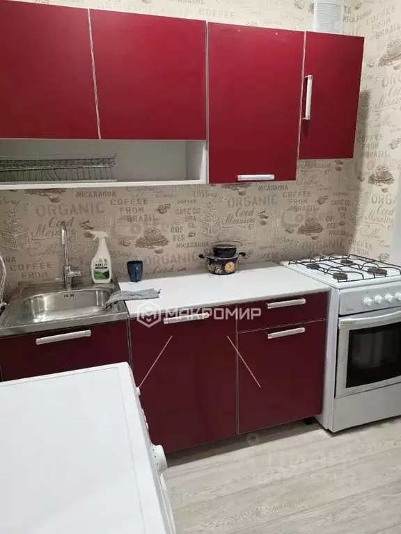 1-к кв. Ленинградская область, Ломоносовский район, Русско-Высоцкое ... - Фото 1