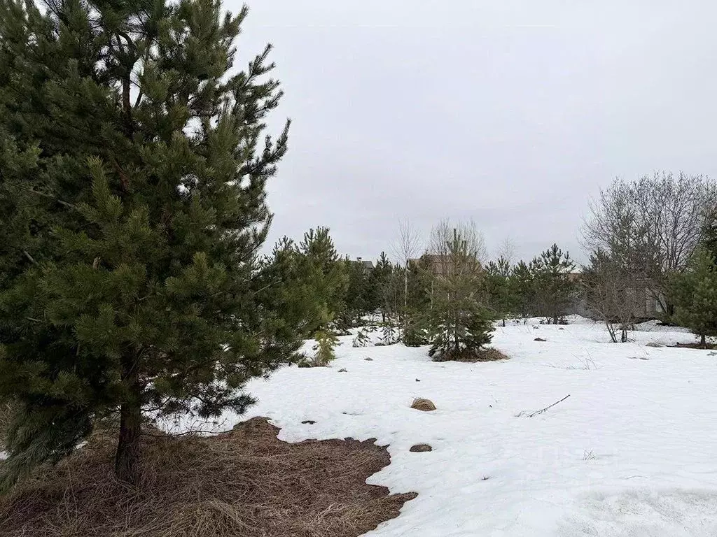 Участок в Московская область, Раменский муниципальный округ, д. ... - Фото 1