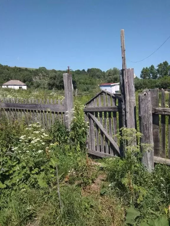 Участок в Алтайский край, Солонешенский район, с. Искра  (32.72 сот.) - Фото 2