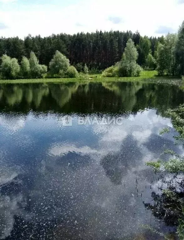 Участок в Нижегородская область, Богородский муниципальный округ, ДПК ... - Фото 1