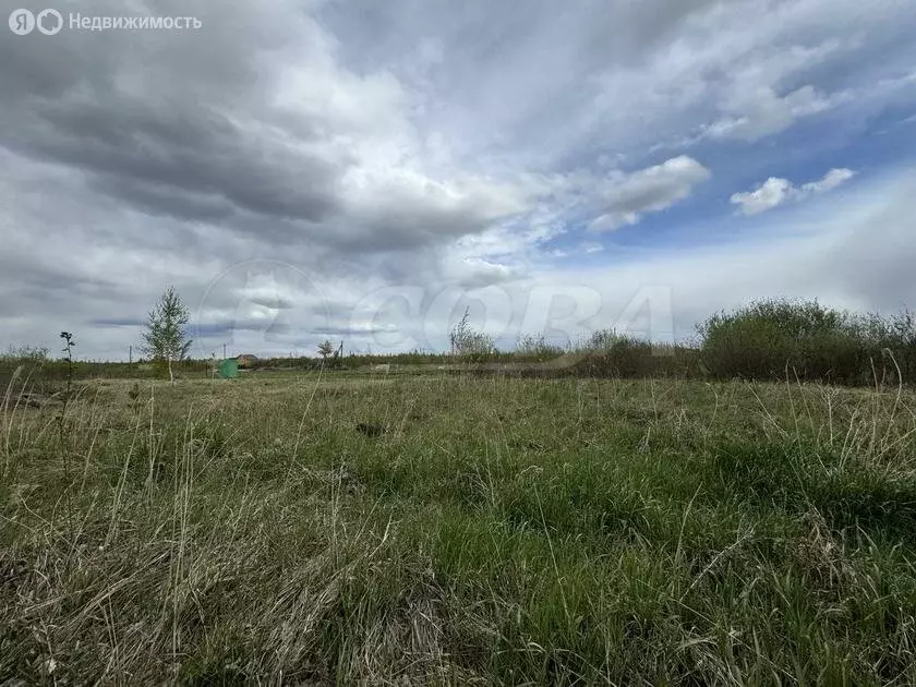 Участок в Тюменский район, деревня Большие Акияры (8.2 м) - Фото 1