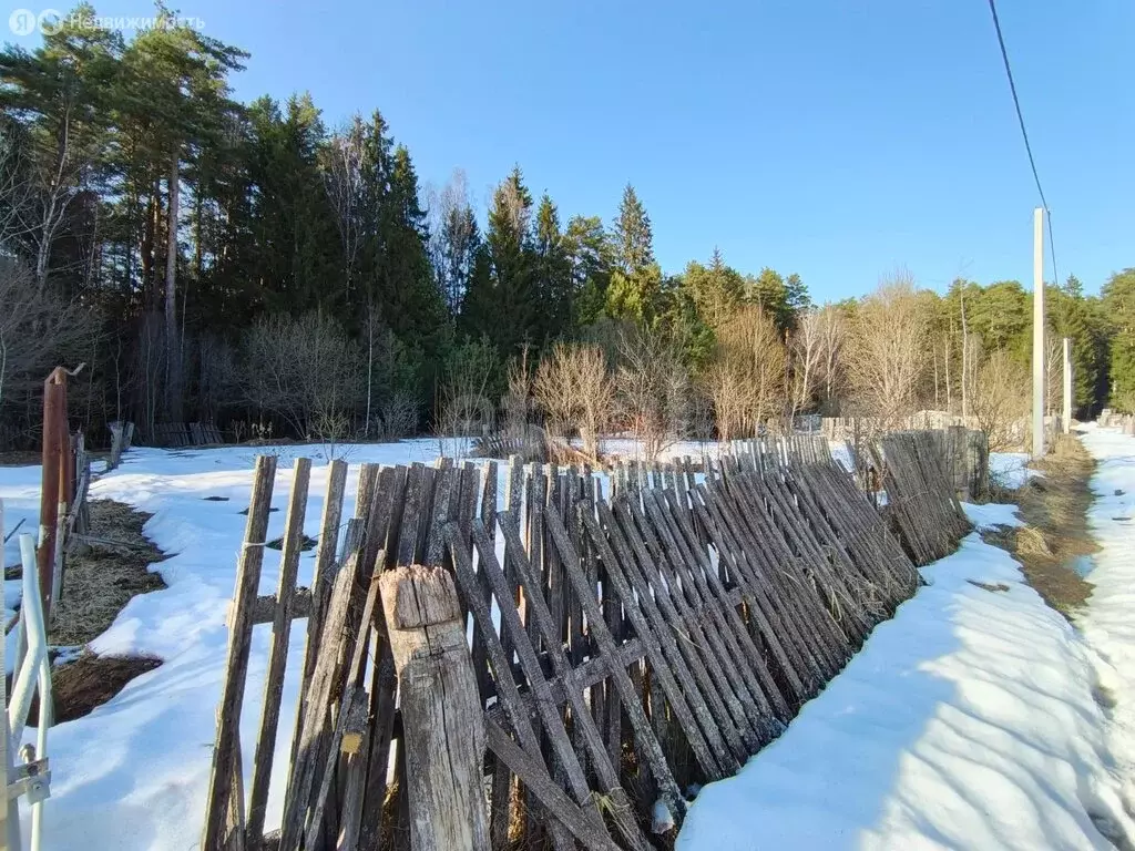 Участок в Калужская область, Жуковский муниципальный округ, село ... - Фото 2