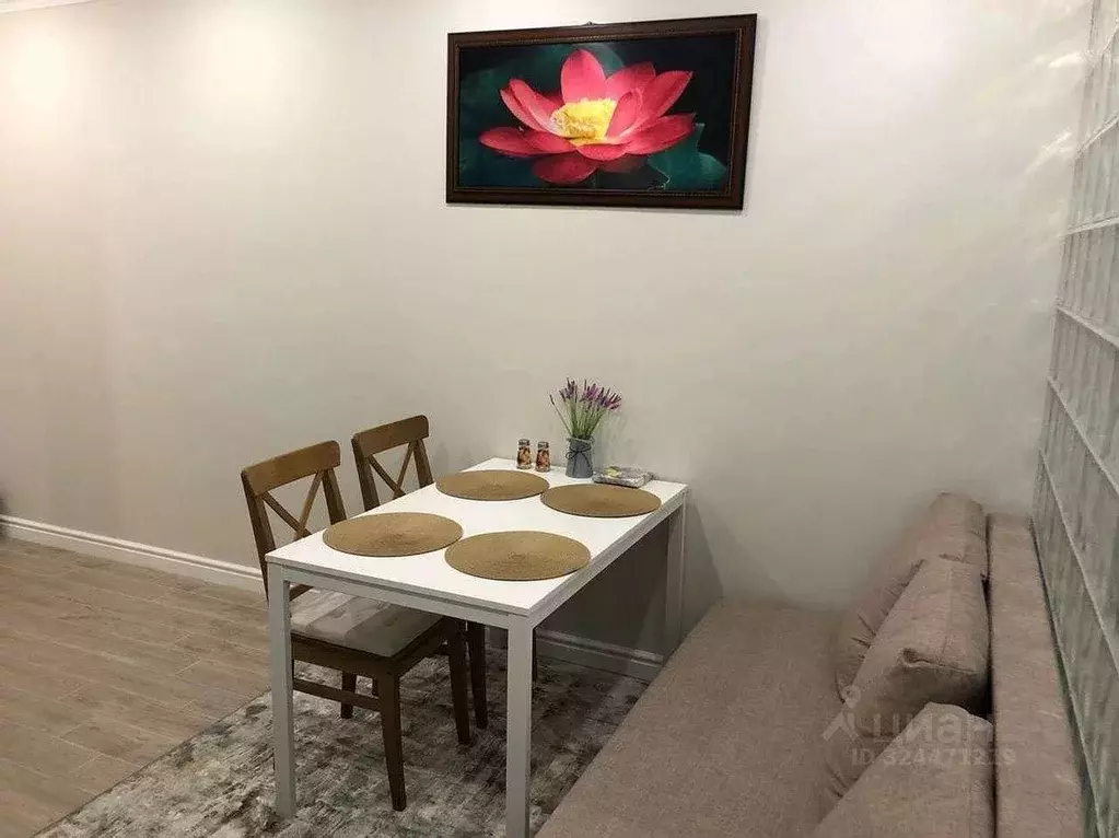 1-к кв. Краснодарский край, Сочи Виноградная ул., 22/1А (33.0 м) - Фото 2