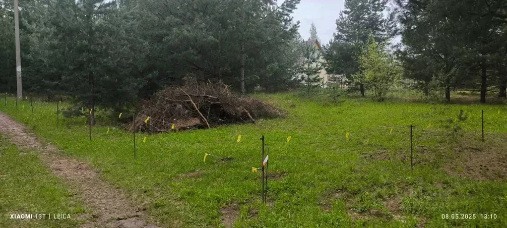 Участок в Татарстан, Верхнеуслонский район, Введенско-Слободское ... - Фото 1