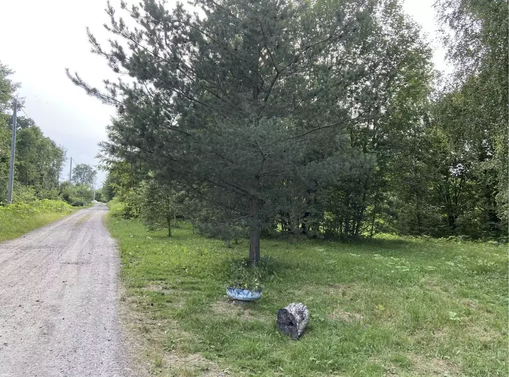 Участок в Московская область, Клин городской округ, Сигнал СНТ  (9.0 ... - Фото 2