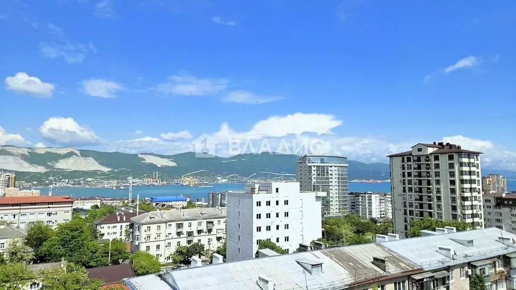 1-к кв. Краснодарский край, Новороссийск ул. Челюскинцев, 11 (29.2 м) - Фото 0