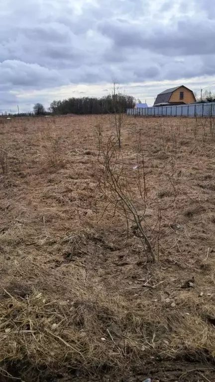 Участок в Ленинградская область, Волосовский район, Большеврудское ... - Фото 1