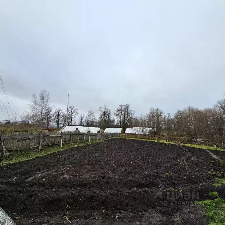 Участок в Московская область, Луховицы муниципальный округ, д. Лисьи ... - Фото 2