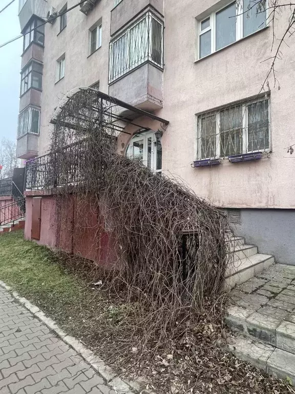 Помещение свободного назначения в Московская область, Мытищи ул. ... - Фото 2
