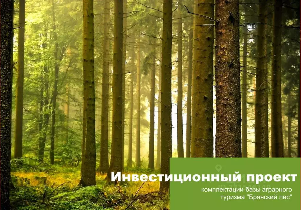 Участок в Брянская область, Выгоничский район, Орменское с/пос, пос. ... - Фото 1