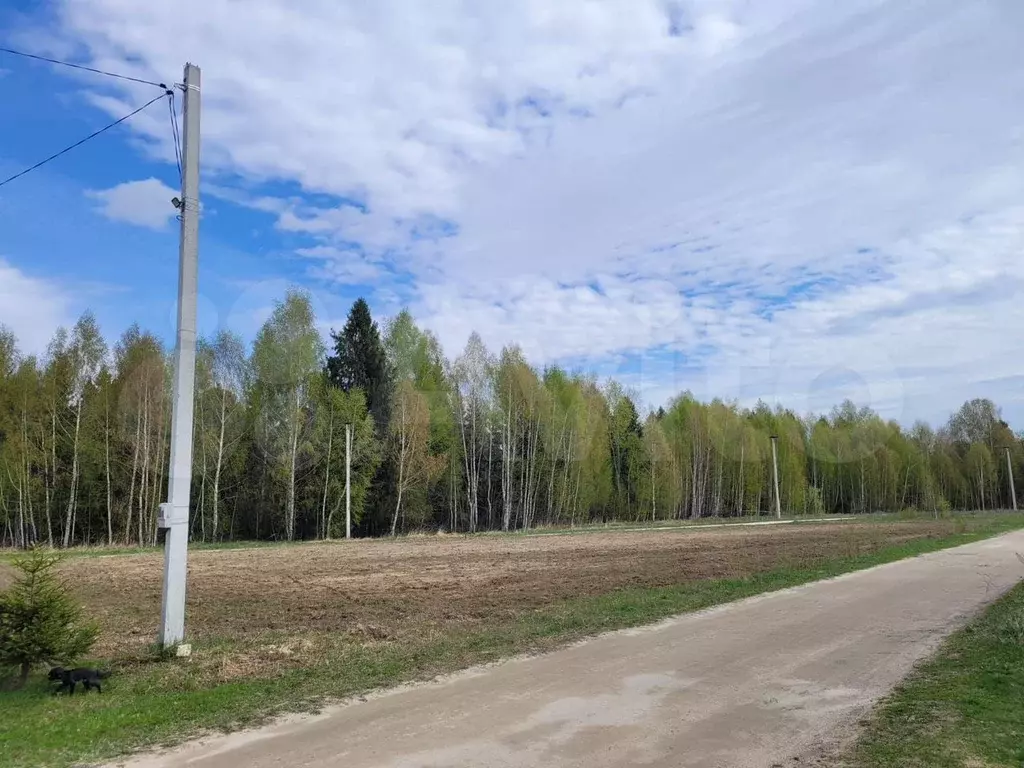 Участок 15,8 сот. (ИЖС) - Фото 0