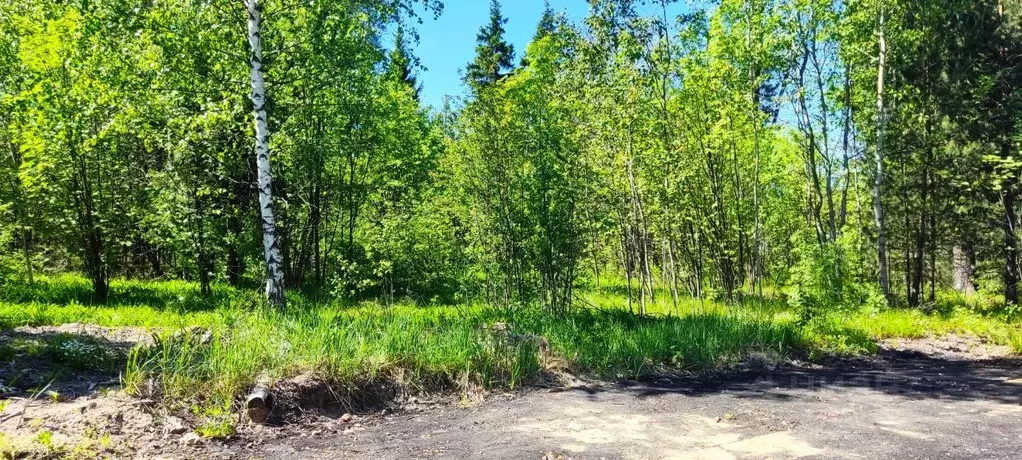 Участок в Московская область, Лосино-Петровский городской округ, ... - Фото 2