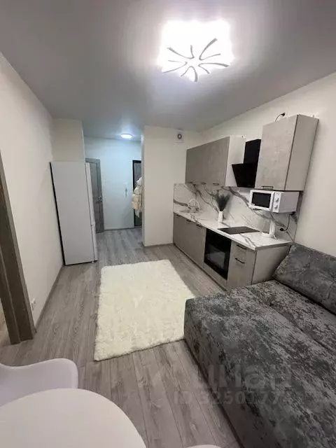 2-к кв. Челябинская область, Челябинский городской округ, пос. ... - Фото 2