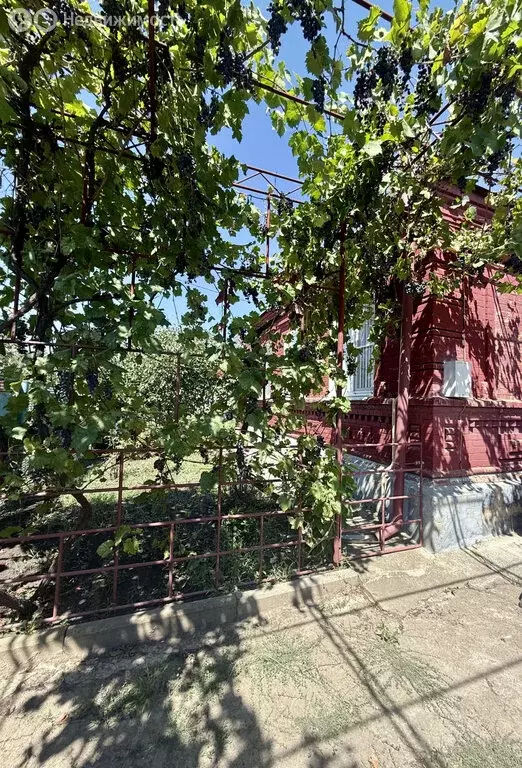 Дом в Глубокий, улица Гагарина (63 м) - Фото 1