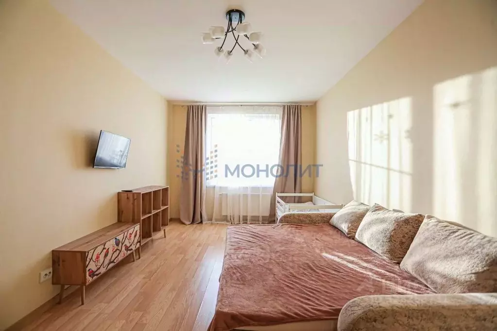 1-к кв. Нижегородская область, Нижний Новгород д. Анкудиновка, ул. ... - Фото 1