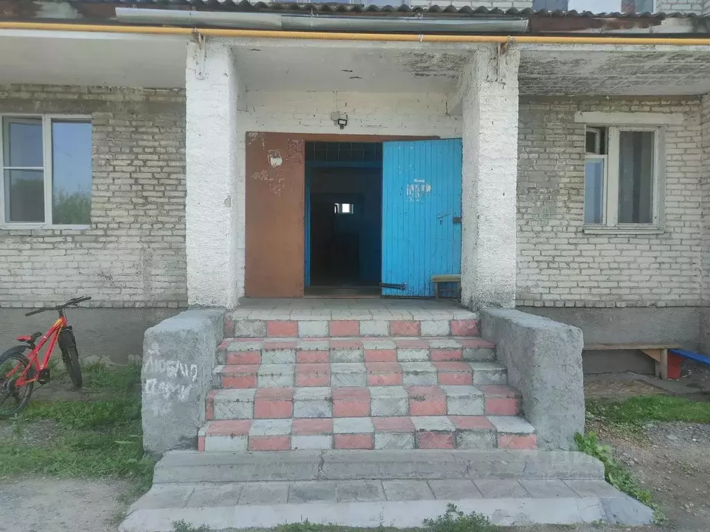 Помещение свободного назначения в Курганская область, Каргаполье рп ... - Фото 2
