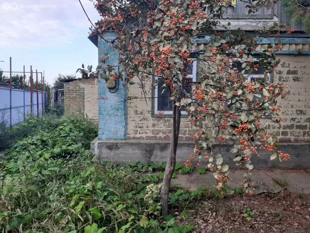 Дом в Сальск, улица Чайковского (44 м) - Фото 1