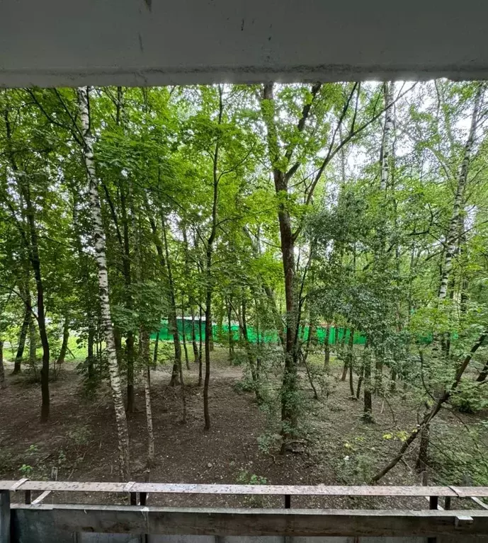 2-к кв. Москва ул. Островитянова, 31 (45.0 м) - Фото 1