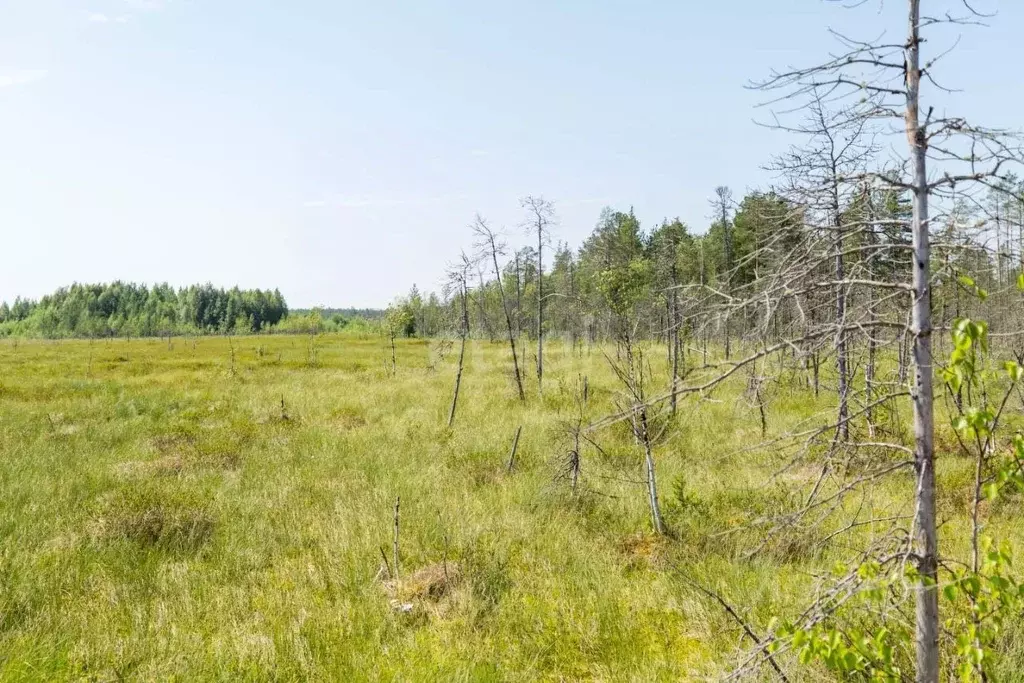 Участок в Ханты-Мансийский АО, Сургутский район, Малинка ДНТ ул. 5-я ... - Фото 0