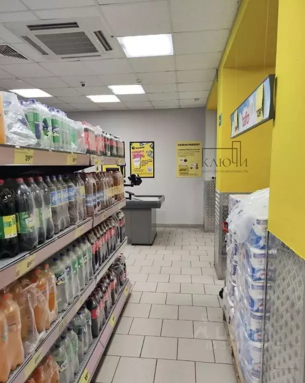 Торговая площадь в Челябинская область, Магнитогорск Московская ул., 8 ... - Фото 2