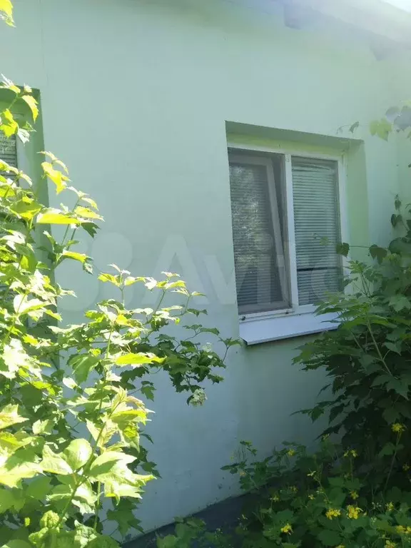 Дом 40,3 м на участке 2,4 сот. - Фото 0