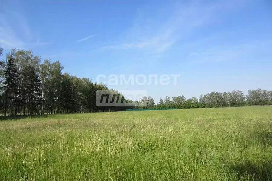 Участок в Тюменская область, Нижнетавдинский район, Царицыно СНТ ул. ... - Фото 1