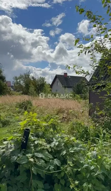 Участок в Калининград, СНТ Чайка, Дорожный проезд (5.29 м) - Фото 0