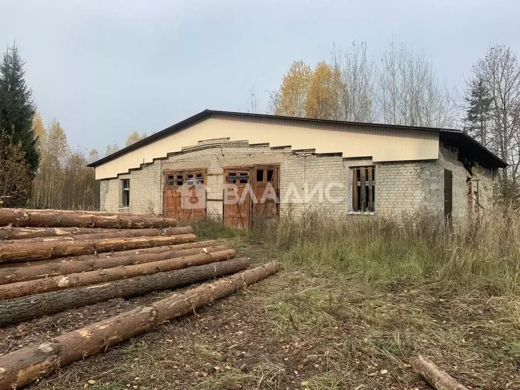 Производственное помещение в Владимирская область, Собинский ... - Фото 1