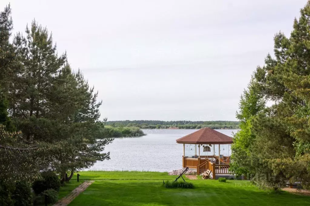 Участок в Ленинградская область, Лодейнопольский район, Доможировское ... - Фото 1