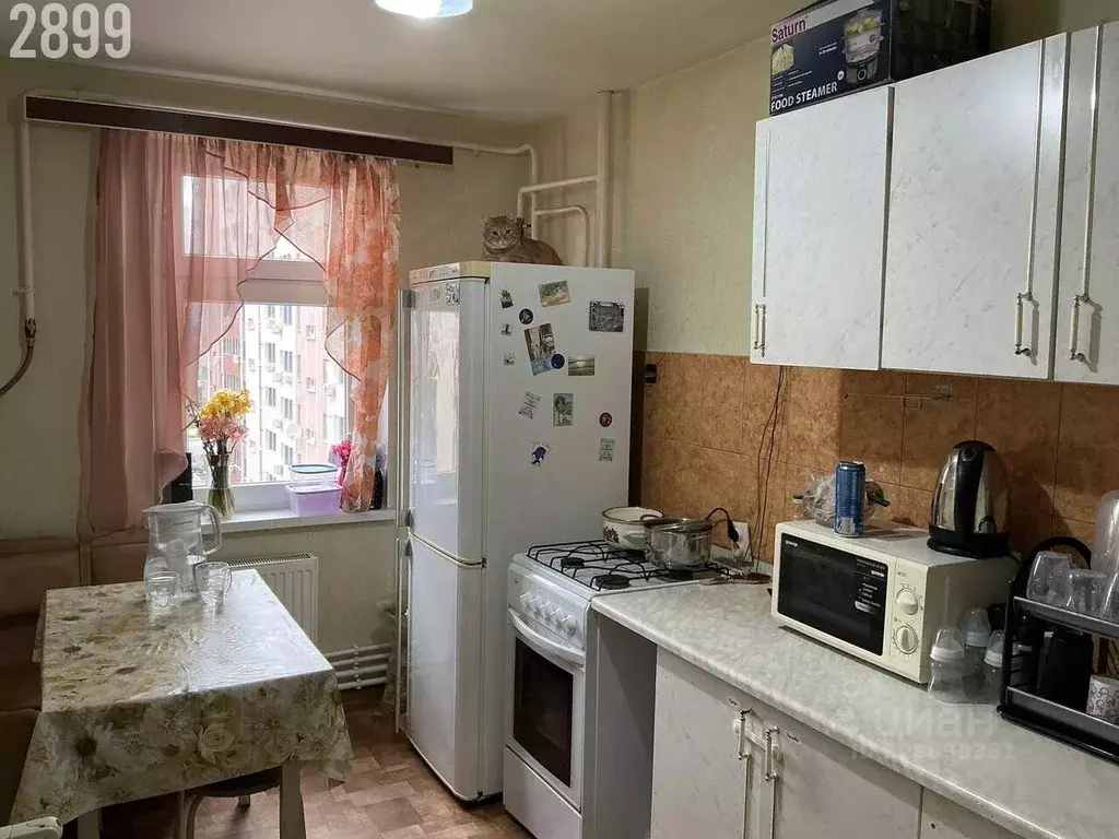 2-к кв. Севастополь ул. Комбрига Потапова, 29 (60.0 м) - Фото 2