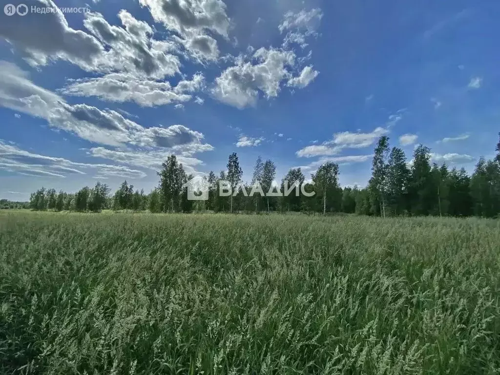 Участок в Куйвозовское сельское поселение, КП Грузино сити (9.67 м) - Фото 2