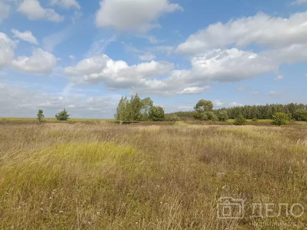 Участок в Рязанская область, Рыбновский муниципальный округ, пос. ... - Фото 2