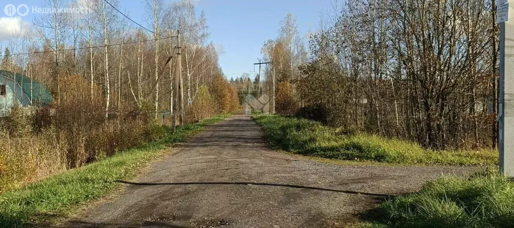 Дом в Трубникоборское сельское поселение, садоводческий массив Бабино, ... - Фото 2