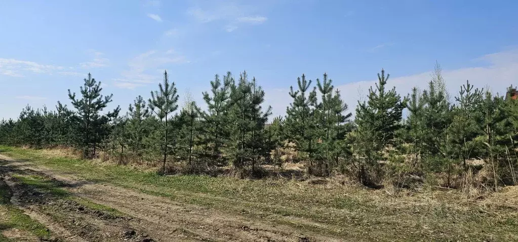 Участок в Московская область, Луховицы муниципальный округ, с. Матыра ... - Фото 0