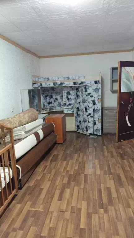 1-к кв. Московская область, Ногинск Богородский городской округ, ул. ... - Фото 2