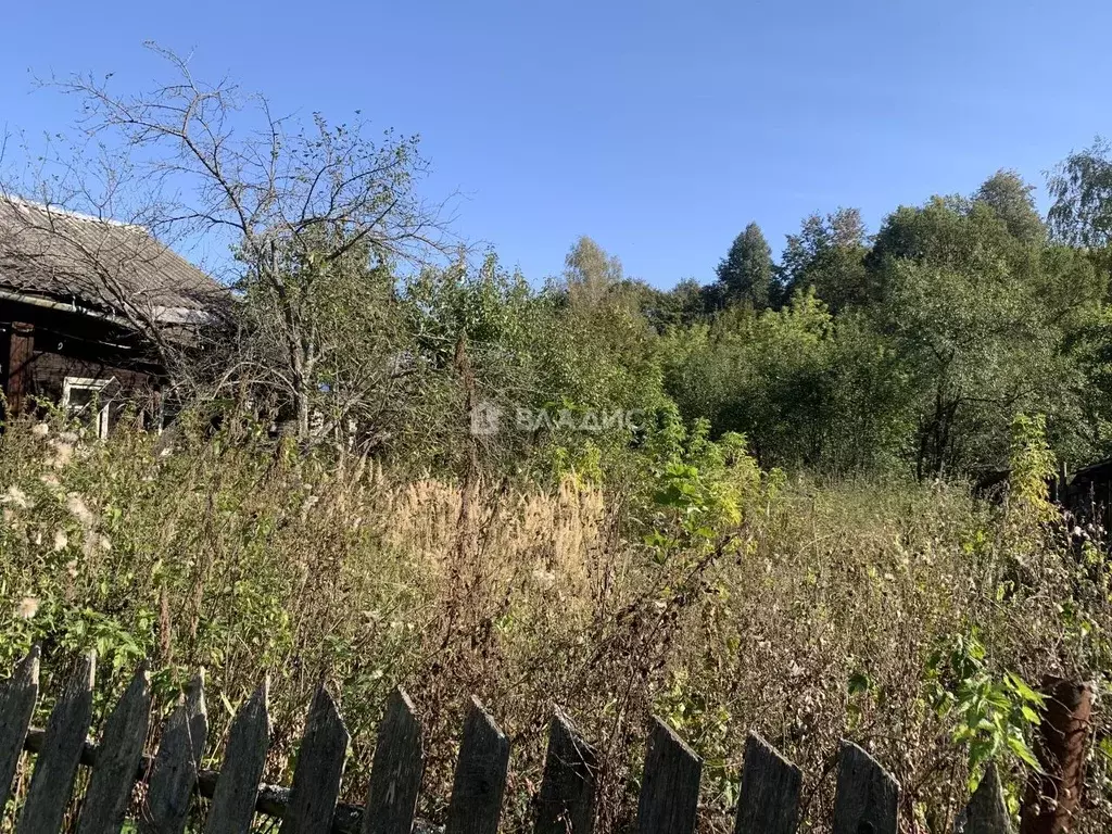 Участок в Владимирская область, Вязники 2-й Больничный пер., 7 (6.0 ... - Фото 2