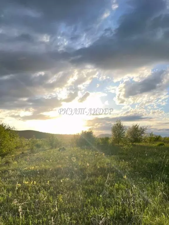 Участок в Алтай, Майминский район, с. Подгорное Центральная ул. (50.0 ... - Фото 0