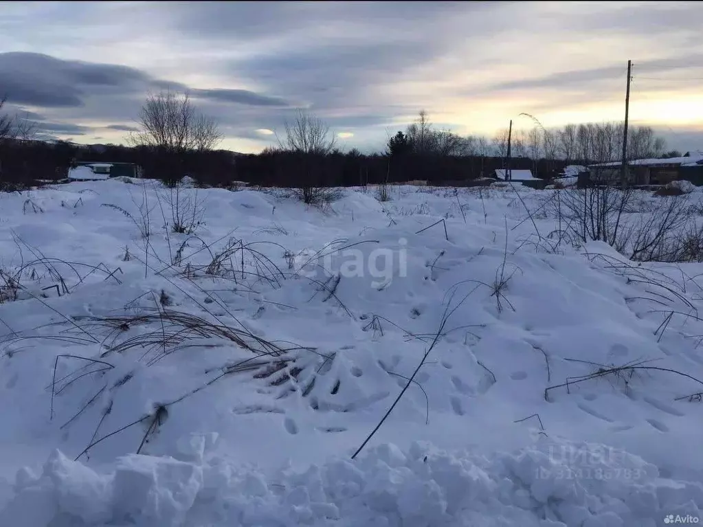 Участок в Хабаровский край, Ванинский район, Октябрьский рп Сибирская ... - Фото 0