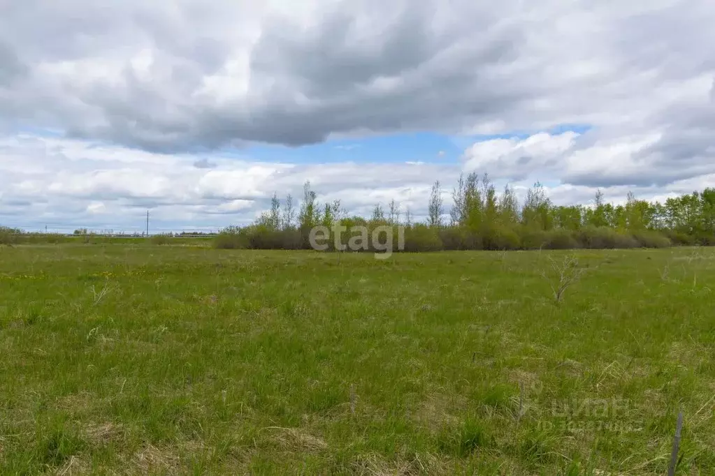 Участок в Тюменская область, Ярковский район, с. Дубровное  (14.5 ... - Фото 1