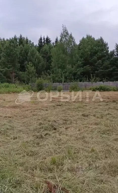 Участок в Свердловская область, Слободо-Туринский район, ... - Фото 1