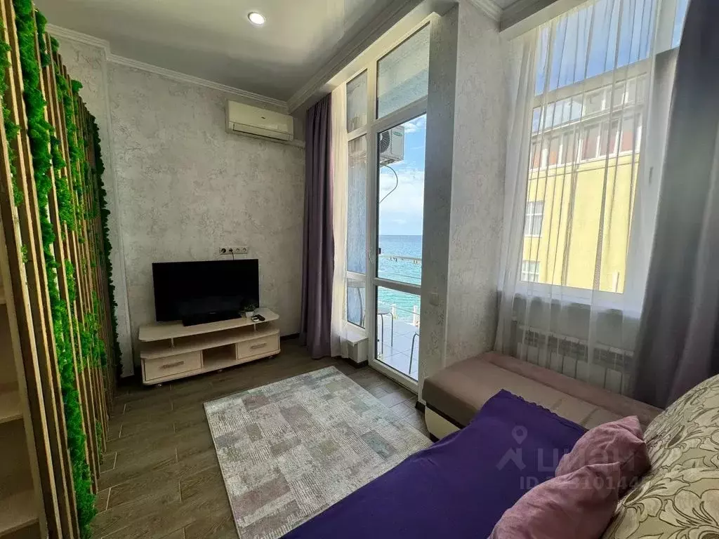 Студия Краснодарский край, Сочи ул. Просвещения, 118/1 (31.0 м) - Фото 1