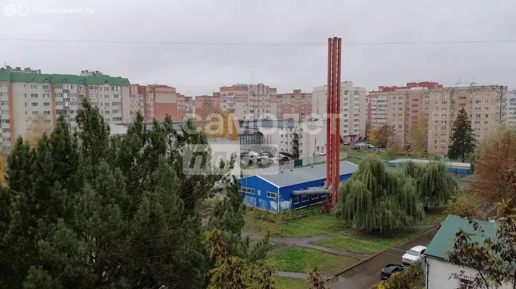 4-комнатная квартира: Орёл, набережная Дубровинского, 92 (83.7 м) - Фото 2