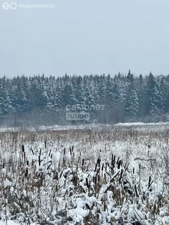 Участок в Московская область, городской округ Солнечногорск (1 м) - Фото 1