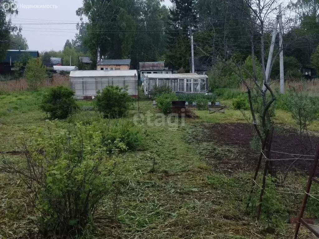 Участок в Новосибирск, садовое товарищество Нива (5.5 м) - Фото 0