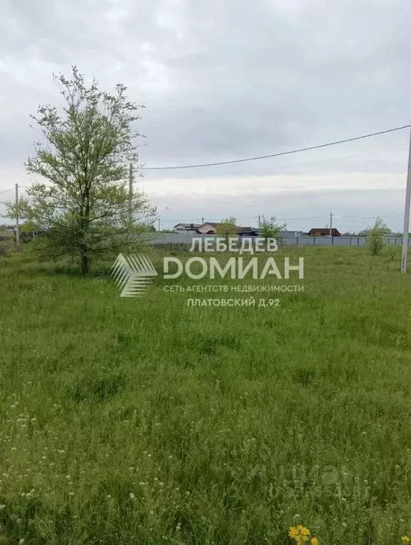 Участок в Ростовская область, Багаевское с/пос, Орион СНП 4683 (6.0 ... - Фото 1