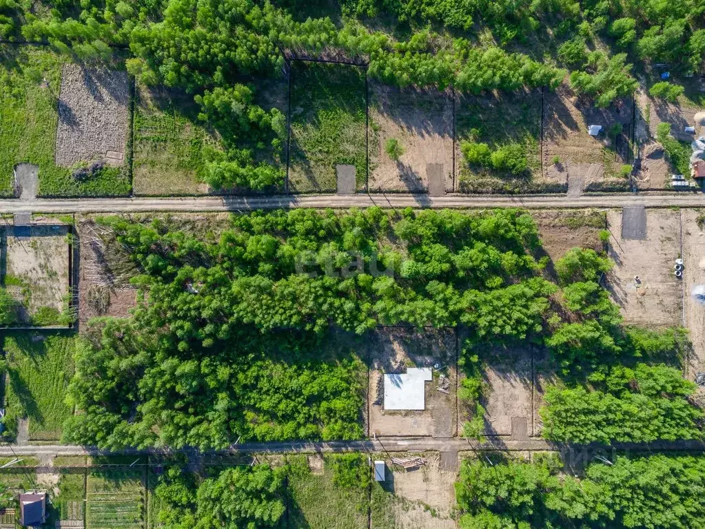 Участок в Хабаровский край, Хабаровский район, с. Черная Речка, ... - Фото 1