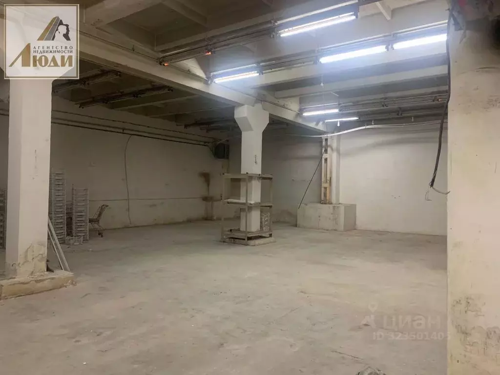 Помещение свободного назначения в Новосибирская область, Новосибирск ... - Фото 1